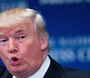 Trump président, Archive.org veut fuir au Canada